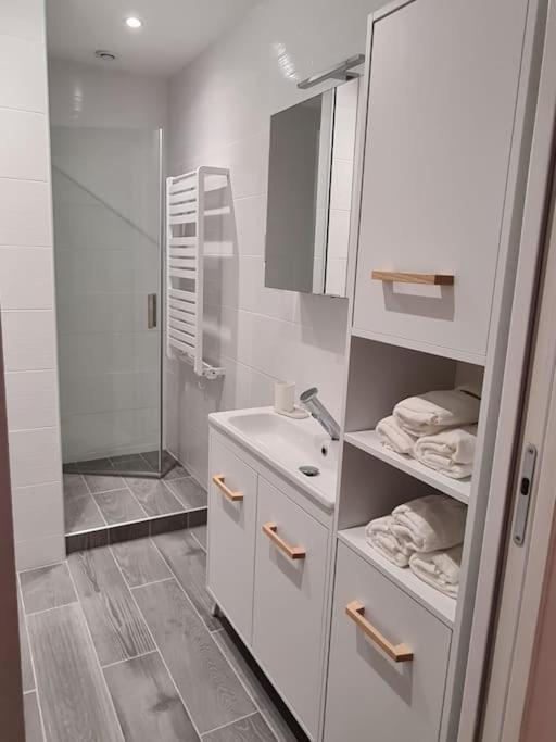 Elegant 2 Chambres Vieille Ville 贝桑松 外观 照片